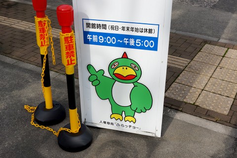 怪鳥