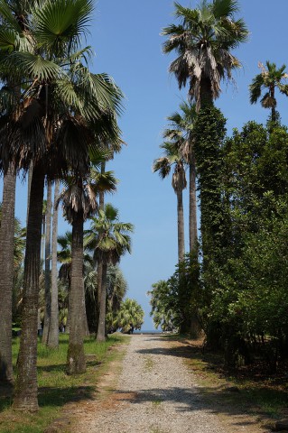 青島へ