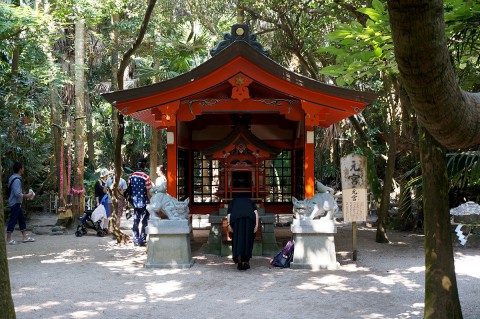 青島神社4