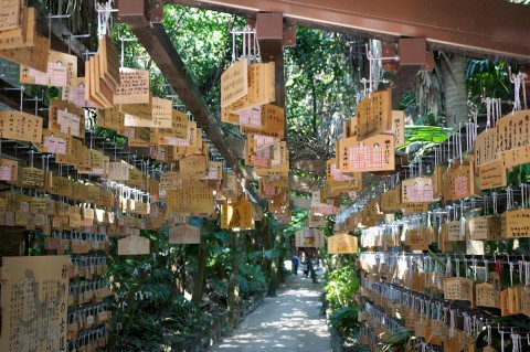 青島神社5