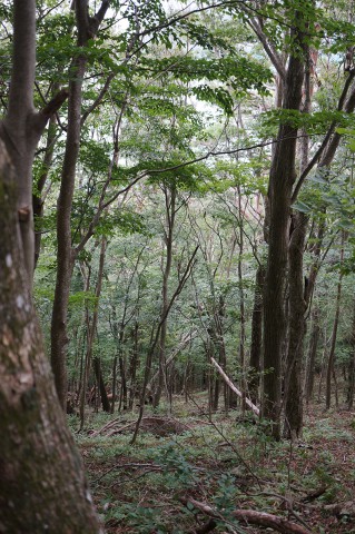 登山1