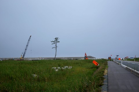 鹿島の一本松