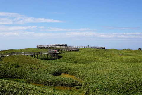 高架木道