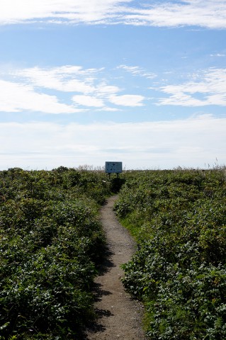 野付半島2