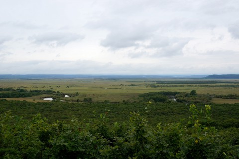 釧路湿原南側