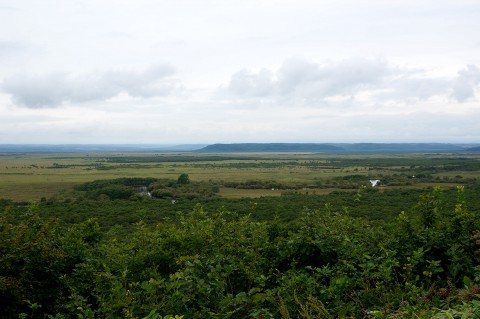 釧路湿原北側
