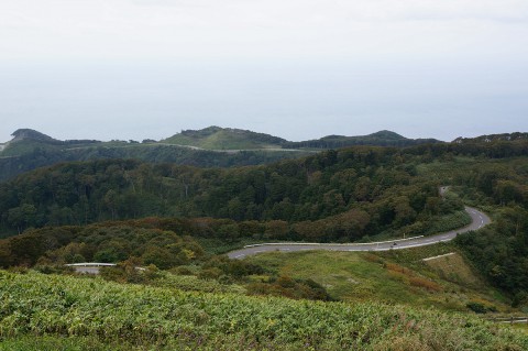 小泊道