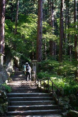 ひたすら登る